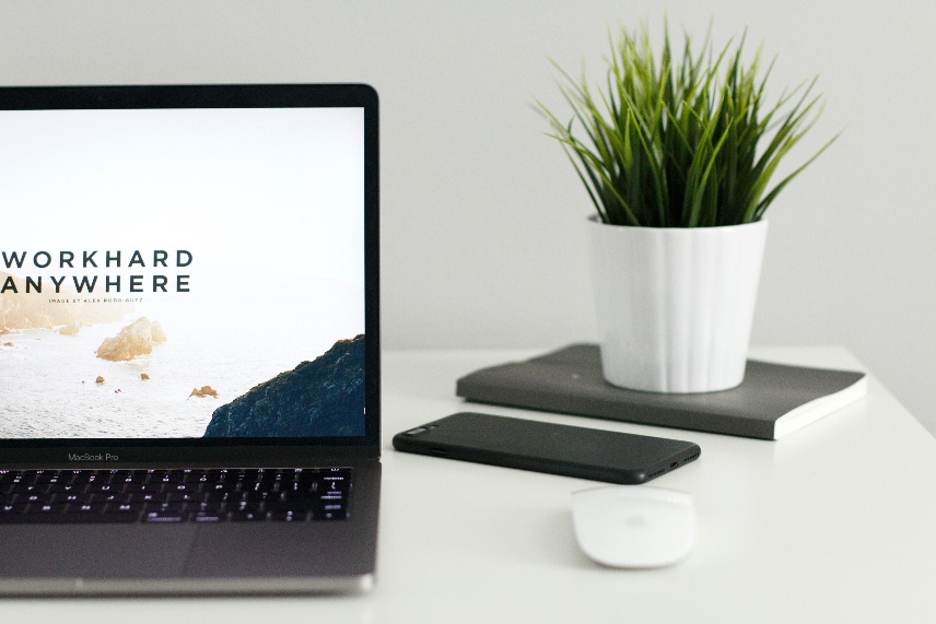 Laptop Next to Plant on Desk